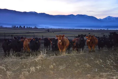 DSC_5860 (Large).JPG